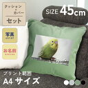 写真入り 鳥 クッション 45×45cm A4プリント インテリア フォトクッション 写真プリント プレゼント ギフト オーダーメイド オリジナル メモリアルグ...