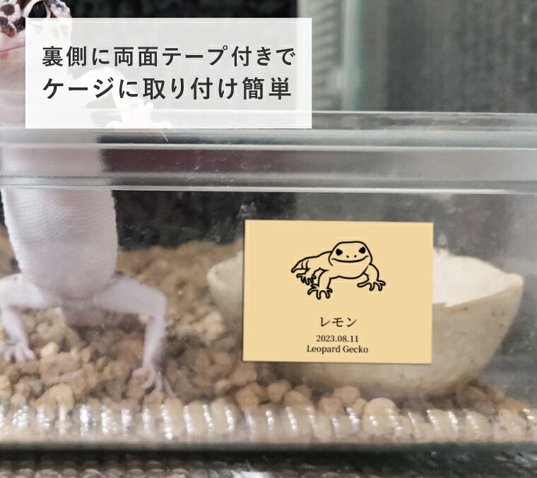 ペット ネームプレート 名入れ 水槽 ケージ 名札 オーダー レオパ 爬虫類 両生類 ...