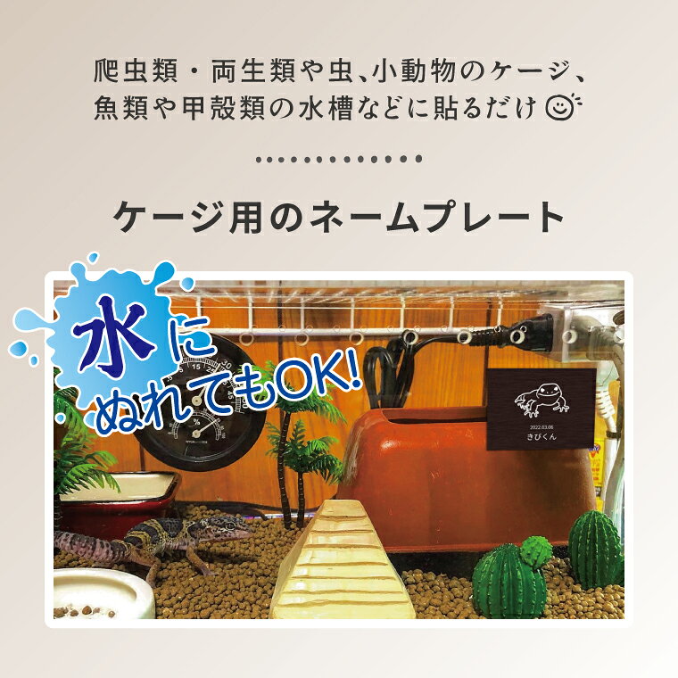 ペット ネームプレート 名入れ 水槽 ケージ 名札 オーダー レオパ 爬虫類 両生類 ...
