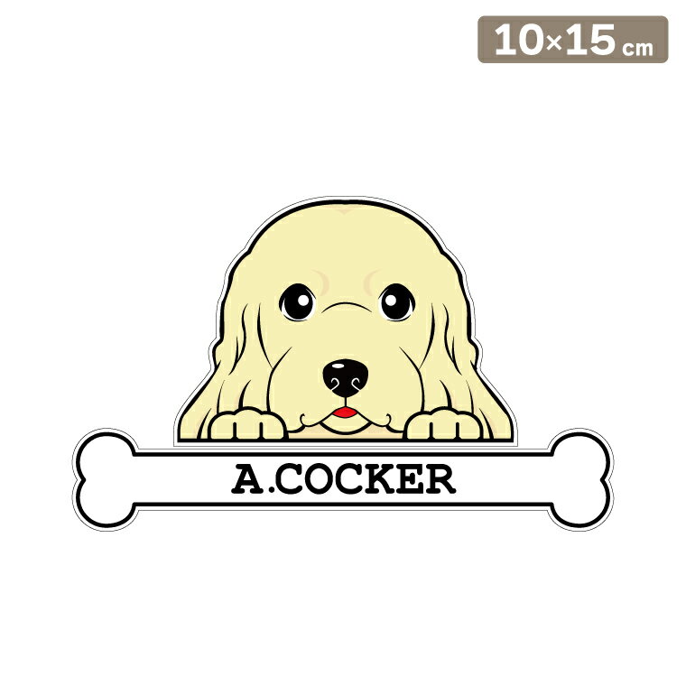 ����̵�� �����ƥå��� �ե��������ƥå��� 10cm��15cm �Τ����� ����ꥫ�� ���å��� ���륨�åȥ��ƥå��� �֥��ƥå��� ž�̥��ƥå��� ������ ����...