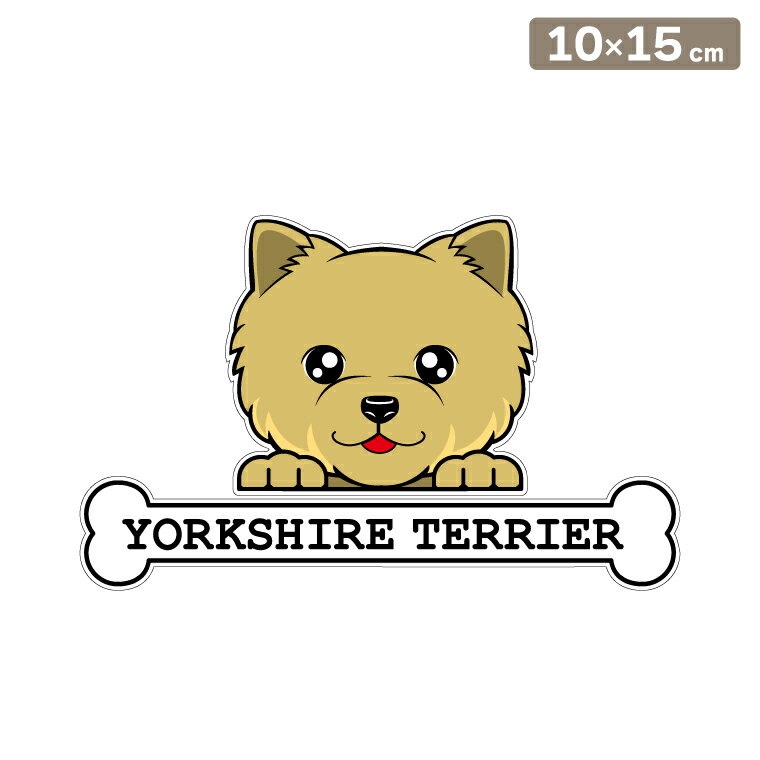 ����̵�� �����ƥå��� �ե��������ƥå��� 10cm��15cm �Τ����� �衼�����㡼�ƥꥢ ���ޡ����å� �֥��ƥå��� ž�̥��ƥå��� ������ �����å� ����...