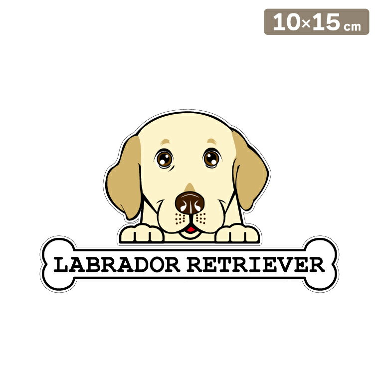 ����̵�� �����ƥå��� �ե��������ƥå��� 10cm��15cm �Τ����� ��֥�ɡ����ȥ꡼�С� ���륨�åȥ��ƥå��� �֥��ƥå��� ž�̥��ƥå��� ������ ...