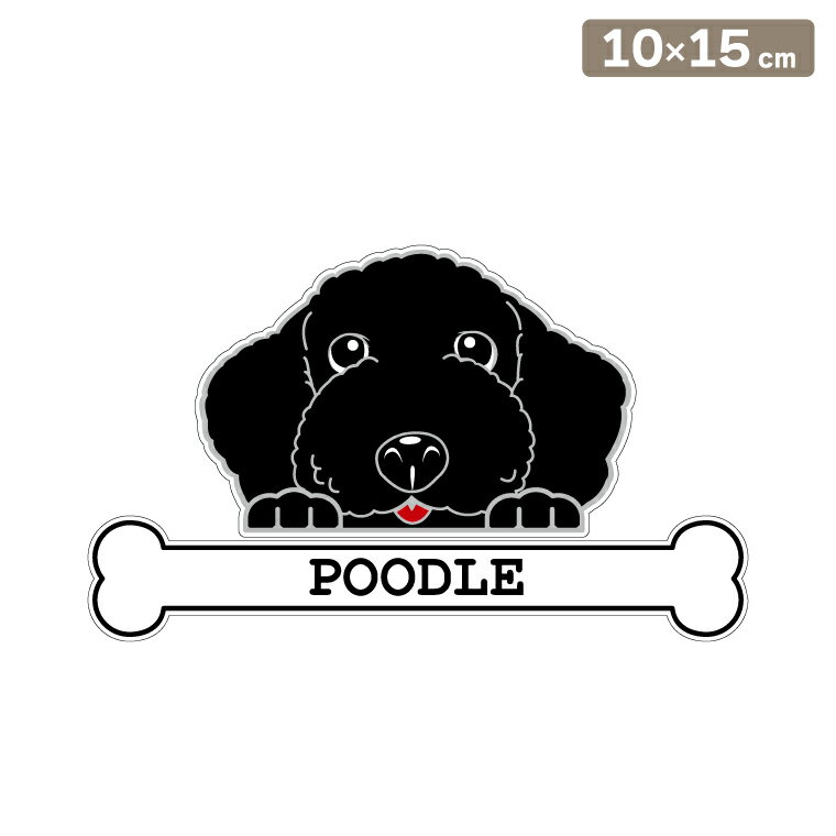 ����̵�� �����ƥå��� �ե��������ƥå��� 10cm��15cm �Τ����� �ס��ɥ� �� ���륨�åȥ��ƥå��� �֥��ƥå��� ž�̥��ƥå��� ������ �����å� ��...