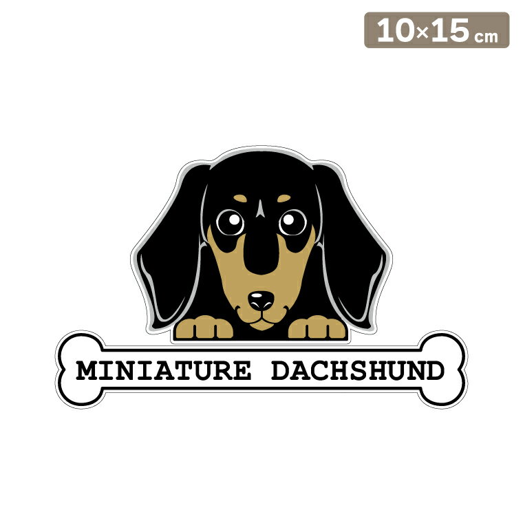 ����̵�� �����ƥå��� �ե��������ƥå��� 10cm��15cm �Τ����� �ߥ˥��奢���å����ե�� ���ࡼ�� �� ���륨�åȥ��ƥå��� �֥��ƥå��� ž�̥��ƥ�...