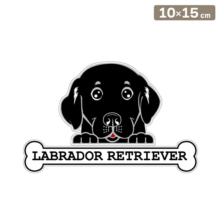 ����̵�� �����ƥå��� �ե��������ƥå��� 10cm��15cm �Τ����� ��֥�ɡ����ȥ�С� �� ���ե��������ƥå��� �֥��ƥå��� ž�̥��ƥå��� ������...