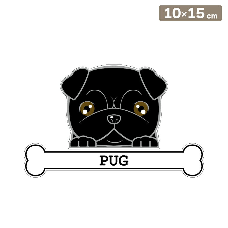 ����̵�� �����ƥå��� �ե��������ƥå��� 10cm��15cm �Τ����� �ѥ� �� ���ե��������ƥå��� �֥��ƥå��� ž�̥��ƥå��� ������ �����å� ������...