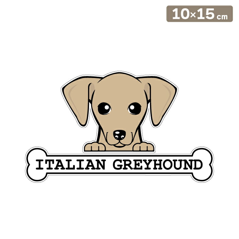 ����̵�� �����ƥå��� �ե��������ƥå��� 10cm��15cm �Τ����� �����ꥢ�󥰥졼�ϥ���� ���ե��������ƥå��� �֥��ƥå��� ž�̥��ƥå��� ������ ...