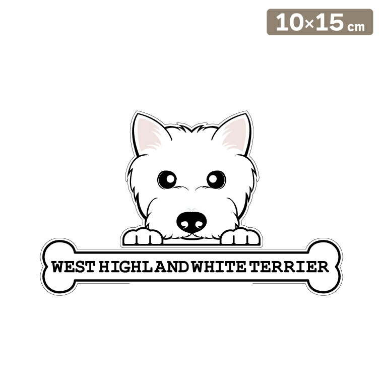 ����̵�� �����ƥå��� �ե��������ƥå��� 10cm��15cm �Τ����� �������ƥ� ���ե��������ƥå��� �֥��ƥå��� ž�̥��ƥå��� ������ �����å� ����...