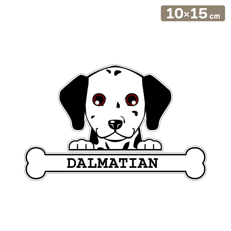 ����̵�� �����ƥå��� �ե��������ƥå��� 10cm��15cm �Τ����� ����᥷���� ���ե��������ƥå��� �֥��ƥå��� ž�̥��ƥå��� ������ �����å� ��...