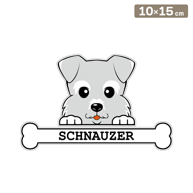 ����̵�� �����ƥå��� �ե��������ƥå��� 10cm��15cm �Τ����� ����ʥ����� ���ե��������ƥå��� �֥��ƥå��� ž�̥��ƥå��� ������ �����å� ��...