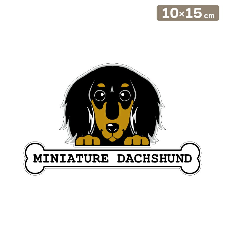 ����̵�� �����ƥå��� �ե��������ƥå��� 10cm��15cm �Τ����� �ߥ˥��奢���å����ե�� ���� �� �֥��ƥå��� ž�̥��ƥå��� ������ �����å� ...