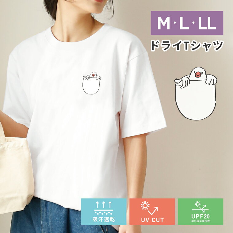 Rakuten - オリジナルTシャツ 白文鳥 ドライtシャツ たまごの中でこちらをのぞく文鳥 おもしろ 半袖 UVカット 着やすい 部屋着 高校生 誕生日 プレゼント 男女 かわいい おしゃれ アニマル 小鳥 鳥好きギフト 小鳥グッズ ブンチョウ ペット