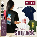 オリジナルTシャツ SHIBACK 柴犬 選べる17種 デザイン Tシャツ 半袖 UVカット 着やすい 和 Shiba Inu dog t-shirt 誕生日 プレゼント gift かわいい kawaii cute しば 犬グッズ 犬好き【名入れ対象外】