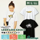オリジナルTシャツ トカゲモドキ(レオパ) レオパードゲッコー 半袖Tシャツ 半袖 UVカット 着やすい 部屋着 高校生 誕生日 プレゼント 男女兼用 かわいい おしゃれ アニマル ヤモリ レオパ好き レオパグッズ 爬虫類好き 爬虫類グッズ【名入れ対象外】