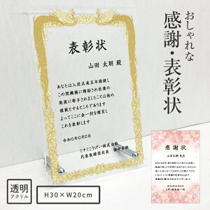 感謝状 表彰状 透明アクリル 卓上 盾 H30×W20cm アクリルプレート 勤続 退職 成績 安全 スポーツ 競技 文化 コンテスト 防止 皆勤賞 長寿 タンド型 自立 クリスタル感謝状 名入れ プレゼント ギフト 記念品 会社 先生 両親 大会 建築 現場 工事元受 協力業者 おすすめ
