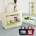 ̓Mtg IVY-GOODS  ʐ^ IWi ~jobO g[gobO O  ʐ^vg ~jg[g obO ٓ UobO Vv ybg  L qǂ  Ƒʐ^  j  minibag-photo