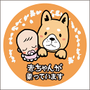 赤ちゃんが乗っていますステッカー 20cm オレンジ Baby in Car ステッカー Baby in the car 車ステッカー 転写シール【名入れ対象外...