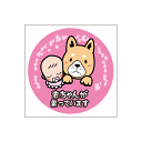 赤ちゃん ステッカー 赤ちゃんが乗っています ピンク ステッカー Baby in the car チャイルドシート 出産祝い 妊娠祝い ギフト プレゼント【名入...