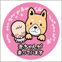 赤ちゃんが乗っていますステッカー 20cm ピンク Baby in Car ステッカー Baby in the car 車ステッカー 転写シール【名入れ対象外】