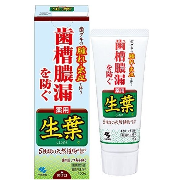 Rakuten - 小林製薬 生葉 歯槽膿漏を防ぐ 薬用ハミガキ ハーブミント味 医薬部外品 100g［8041］