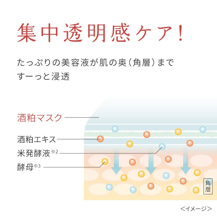 サンプル画像3