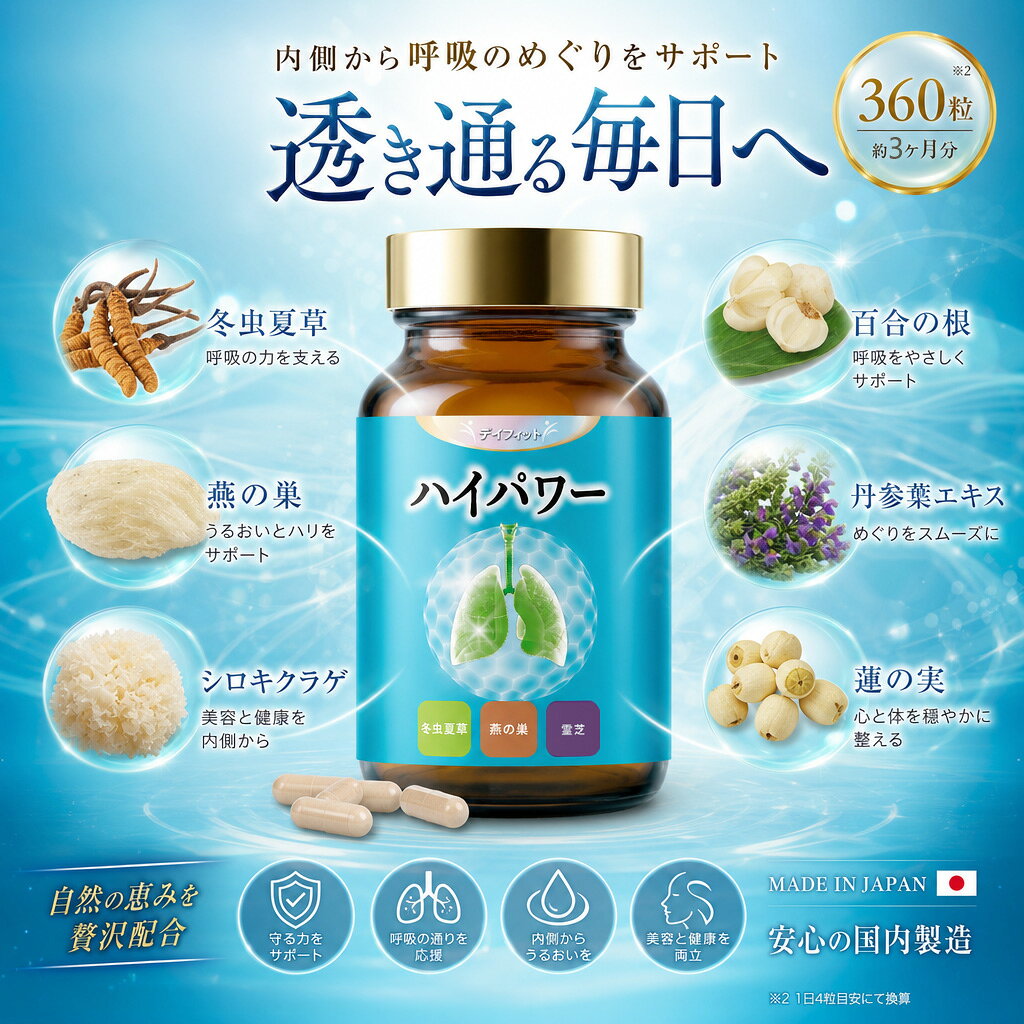 DAYFIT デイフィット ハイパワー 360粒 (3か月分) 62563 [1654]