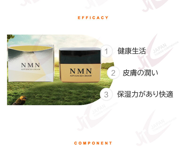 NMN モイスチャー クリーム 30g (8070) エイジングケア everyshop-10002537 everyshop サンプル画像3