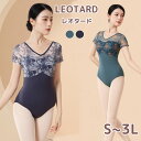 バレエ レオタード 大人 レディース ジュニア 半袖 花柄 柄あり 袖あり vネック レッスン着 練習着 レオタード バレエ バレリーナ ダンス衣装 パッド付き...