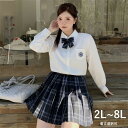 スカート単品 大きいサイズ 2L-8L スクールスカート 制服 プリーツスカート スカート 丈43cm 丈48cm チェック柄 ミニスカート学生服 女子高生 卒業式 入学式 ぽっちゃり レディース シャツ 春 夏 秋 高校生 通学 女の子 JK 可愛い コスプレ ds492d7d7m6