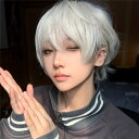 ウィッグ メンズ 男装 短髪 かつら フルウィッグ ショートウィッグ コスプレウィッグ 可愛い ショート ショートヘア 演劇 自然 前髪あり コスプレ おしゃれ...