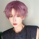 ウィッグ メンズ かつら ショート ウルフ インナーカラー フルウィッグ パープル 男性 原宿 イケメン ハンサム 自然 小顔 耐熱 人気 ファッション イメチ...