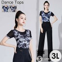 社交ダンス衣装 トップス ラテン ダンス 衣装 ダンストップス ダンスウェア ダンス 衣装 ダンス用ブラウス ストレッチ着 ステージ衣装 舞台 社交ダンス衣装 ...