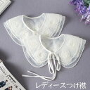 つけ襟 レディース 付け襟 ロリータ レース 襟 ホワイト 2タイプ ボタン ブラウス シャツ ファッション小物 重ね着風 大人 可愛い エレガント オールシーズン 仮装 イベント 学園祭 コスチューム na006m6m6m6