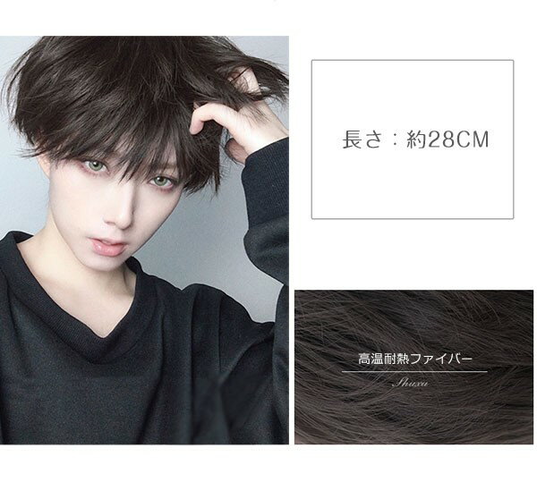 ウィッグ メンズ 短髪 かつら 自然 フルウィッグ コスプレ おしゃれ 男装 可愛い ショート 耐熱ウィッグ ダークブラウン 小顔効果抜群 コスチューム ハロウィン イベント 文化祭 学園祭 韓国風 dp137n1n1t2