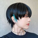 ウィッグ メンズ インナーカラー 短髪 かつら 自然 フルウィッグ ショートウィッグ ショートヘア 前髪あり コスプレ 男装 おしゃれ ナチュラル かっこいい ...