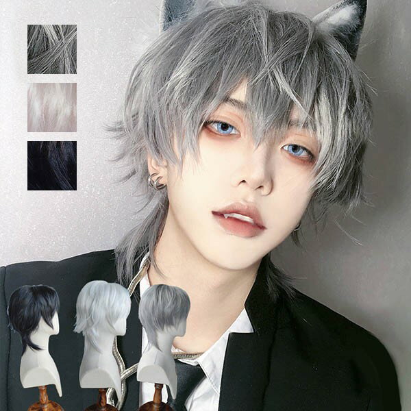 ウィッグ メンズ 短髪 かつら 自然 フルウィッグ ショートウィッグ ショートヘア 前髪あり コスプレ 男装 おしゃれ ナチュラル かっこいい 可愛い ショート...