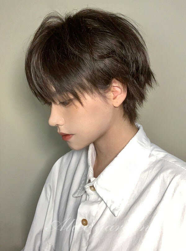 ウィッグ メンズ 短髪 かつら フルウィッグ ショートウィッグ ショートヘア 前髪あり コスプレ 男装 おしゃれ ナチュラル かっこいい 可愛い ショート 耐熱ウィッグ 小顔効果抜群 コスチューム 文化祭 学園祭 演劇 自然 イベント 韓国風 ブラウン 茶髪 dq014n1