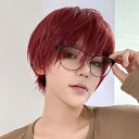 ウィッグ メンズ 男装 短髪 かつら フルウィッグ ショートウィッグ コスプレウィッグ 可愛い ショート ショートヘア 演劇 自然 前髪あり コスプレ おしゃれ...