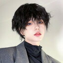 ウィッグ メンズ 男装 短髪 かつら フルウィッグ ショートウィッグ 巻き髪 コスプレウィッグ 可愛い ショート ショートヘア 演劇 自然 前髪あり コスプレ ...