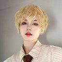 ウィッグ メンズ 男装 短髪 かつら フルウィッグ ショートウィッグ 巻き髪 コスプレウィッグ 可愛い ショート ショートヘア 演劇 自然 前髪あり コスプレ ...