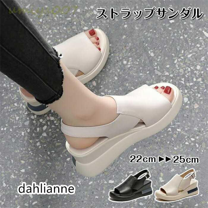 ������� ��ǥ����� ���ݡ��ĥ������ �����å������� ���ݥ��� ���� ���ˡ������������ ���ޡ� �̵� �⤭�䤹�� �� 2023 �����奢�� ���塼��