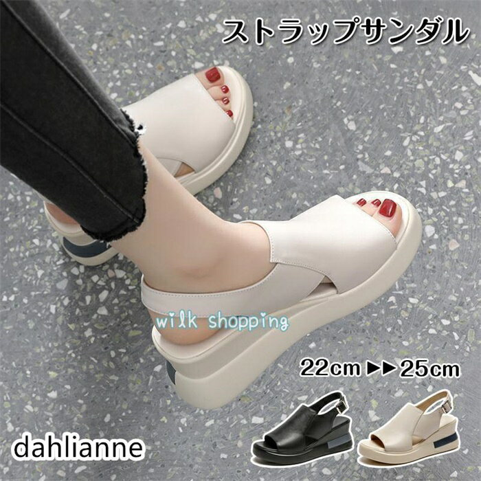 ������� ��ǥ����� ���ݡ��ĥ������ �����å������� ���ݥ��� ���� ���ˡ������������ ���ޡ� �̵� �⤭�䤹�� �� 2022 �����奢�� ���塼��