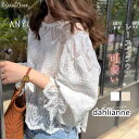 ブラウス 透かし編み 花柄 長袖 シャツブラウス レディース トップス プルオーバー tシャツ レース 通勤 OL 体型カバー 春夏 コーデ 重ね着 20代 30代(4)