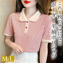 ポロシャツ 半袖 かわいい レディース トップス tops マルチカラー 細ボーダー 無地 コンパクト シンプル インナー デイリー オフィス 春 夏 秋 韓国ファッション カットソー 大人 M L XL Uネック Vネック ベーシック レース