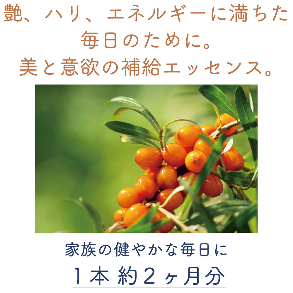 �ڥ����ѡ����������10%���աۥ����⥻��ԡ� ������ ̵���� �ĥ� ���� ���ͥ륮�� �������� �ߥͥ�� �ӥ��ߥ� �鿧 ���� ���䤹�� ���٤ε��� ŷ�� ���ץ���� �������˥å� ��ʪ��ˡ�δƽ� �������� ��Ĵ���� ���� ��ʪ������ ���� ���� ���� �ڥå� ǥ��OK 50ml