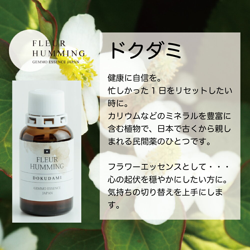 ジェモセラピー 国産 ドクダミ 鼻 呼吸 どく...の紹介画像3