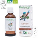 商品情報広告文責Evha Bio05035521009メーカー名エルビオリス生産国フランス製商品区分健康食品内容量50ml原材料植物性グリセリン、鉱泉水、アルコール、イヌバラ製造者エルビオリス研究所Le clos des bridges、Plan de lardier、05110Lardier-et-Valença賞味期限2026年6月30日保存方法直射日光、高温多湿を避けて保存輸入者株式会社ロアポノ〒152-0035東京都目黒区自由が丘 1-24-1飲み方100ml程度のお水に15滴程度を混ぜてお飲みください。お茶、ハーブティー、ジュースなどに混ぜても大丈夫です。朝夕の2回摂ることが推奨されています。お子様は年齢×2滴、ペットは体重×2滴を目安にお飲みください。◆アルコールについて：一回に成人が摂取するジェモセラピー15滴に含まれるアルコールは、飲酒運転の基準となる量の1/100以下です。奈良漬けやブランデーチョコレートなどと同等かそれ以下となっているため、車の運転に支障は無いと言われています。万が一、アルコールアレルギーでアルコール消毒などでもかぶれてしまう方はご使用をお控え下さい。一本で約2ヵ月分です。こんな方に御愛用頂いています無添加 無農薬 天然成分 植物の香り 植物 チンキ タンチュメール レメディー 希釈 ハーブ ハーブティー 植物幹細胞 医薬品 薬草 オーガニック 安全 副作用なし 安心 エネルギー エネルギー療法 稀釈タイプ 新芽由来 新芽 つぼみ療法 つぼみ 高齢者 おじいちゃん おばあちゃん 抗感染 ウイルス アレルギー 鼻炎 鼻炎 免疫 免疫グロブリン 気管支 粘膜 耳鼻咽喉 抗炎症 エネルギー 疲れやすい 甲状腺バランス リウマチ 滑膜関節 ミネラル補給 ネコカゼ 霊障 結腸 喘息 扁桃腺炎 副鼻腔炎 咽頭炎 大腸炎 下痢 腸内寄生病 成長障害 くる病 脱灰 カルシウム不足 骨粗鬆症 変形性膝関節症 結腸性甲状腺腫 再発性ヘルペス 湿疹 いぼ おでき 自然由来 天然成分 有機 植物療法 チンキ ホメオパシー 漢方 代替療法 フラワーエッセンス Herb 幹細胞 犬 猫 赤ちゃん 妊婦 リラックス贈り物に（包装・のし非対応）母の日 御中元 お中元 御正月 お正月 御年賀 お年賀 御年始 父の日 残暑御見舞 残暑見舞い 敬老の日 寒中お見舞 クリスマス クリスマスプレゼント 春夏秋冬 お歳暮 御歳暮 結婚祝い 婚約祝い 出産祝い 御見舞 退院祝い 全快祝い 快気祝い 快気内祝い 御挨拶 ごあいさつ 引越しご挨拶 引っ越し お宮参り御祝 進物 お土産 ゴールデンウィーク GW 帰省土産 バレンタインデー バレンタインデイ ホワイトデー ホワイトデイ お花見 ひな祭り 端午の節句 こどもの日 ギフト プレゼント 御礼 お礼 謝礼 御返し お返し お祝い返し 御見舞御礼 ◆こんな方に友人 娘さん 大切な方 お母さん お世話になった方 目上の方 取引先 お父さん 兄弟 姉妹 子供 おばあちゃん おじいちゃん 奥さん 彼女 旦那さん 彼氏 先生 職場 先輩 後輩 同僚ここが喜ばれていますイヌバラ ロサカニナ ローズヒップ 健康 ドリンク ジュース 飲み物 人気 食品 おすすめ エイジングケアジェモセラピー イヌバラ オーガニック 天然 サプリメント 50ml 無添加 風邪をひきやすい 疲れやすい ペットにおすすめ お子様におすすめ 猫風邪 防御力 免疫 耳鼻咽喉サポート ローズヒップ ロサカニナ 敏感体質 アレルギー体質 エンパス エルビオリス レメディ 植物療法 心と体を統合的にケアするフランス発の新感覚ハーブサプリメント。症状に合わせて選ぶ「飲む植物幹細胞エキス」。医師や薬剤師にも推奨する方が年々増えています。1本約2ヶ月分。 イヌバラの新芽若葉から抽出した植物幹細胞です。イヌバラのテーマは「守る」。森の守り神と呼ばれるイヌバラは、私たちの防御力を上げ、疲れやすい・風邪をひきやすい方を守ります。→免疫システムを刺激フランスの研究で、イヌバラのジェモエキス3~6ヶ月の使用で、免疫グロブリンの増加が認められています。他者のエネルギーの影響を受けやすいエンバス体質や、敏感・繊細すぎるHSPの方、人混みに出ると疲れてしまう方というにもおすすめです。お出かけ前のお守りに。マイボトルに入れていくのもおすすめです。◆こんな方におすすめです。・風邪・疲れやすい・敏感体質・人のエネルギーを受けやすい・人ごみが苦手・耳鼻咽喉系が弱い・アレルギー体質・食後の頭痛◆高齢者施設で使っていただいており、流行る季節でも蔓延しにくくなったとご報告をいただきました。◆ペットにもおすすめです！愛情表現に関わるエキスでもあるため、「猫の風邪対策で飲ませたら甘えてくるようになった」いう面白い報告もいくつかあります。また、お腹が弱くて下痢をしやすいワンチャンに良かったケースもございます。※1本で約2か月分です。※飲み方ご使用前によく振ってください。お好みの量を、100~200ml程度のお水や白湯に混ぜてお召し上がりください。お茶やジュースでも大丈夫です。毎日30滴程度を2回に分けて飲むのがおすすめです。良くかき混ぜてお召しあがり下さい。特に、寝起き・夕食前・就寝前などの空腹時に飲むのがおすすめです。1日分をマイボトルに入れ1日かけて飲んで頂いても構いません。続けやすいようにお飲みください。ジェモセラピーは発酵エキスが基剤のため、賞味期限に関わらず開封後4年以上保管ができ、美味しく安心してお召し上がり頂けます。エルビオリス シングル 【 イヌバラ ( ロサカニナ )】Herbiolys Gemmo Eglantier 〜 プロテクション〜【内容量】 50ml【原産国】 フランス【原材料】 植物性グリセリン、鉱泉水、有機穀類アルコール、有機イヌバラ若芽、食塩　　 *認定有機農業の成分【注意事項】・本製品には、アルコールが使われております・過剰な摂取は、下剤作用を起こす可能性がありますので、推奨用量を超えないようにしてください・本製品は医薬品ではございませんので、全ての病気やケガの完治を保証するものではございません◆Evha BioはフランスのHerbiolys(エルビオリス)社ジェモセラピーの正規販売代理店です。◆Evha Bioは、植物療法士／ジェモセラピスト／エラボリスト資格保持者が運営するお店です。◆Evha Bioで取扱う全ての製品において、動物実験なし、動物性素材不使用です。ヴィーガンの方も安心して商品をお選び頂けます。◆まれにですが、エキスの中に小さな沈殿物が生じることがございます。これは特に上質な赤ワインなどが熟成する過程で生まれるオリ(澱)と呼ばれるものと同じで、ポリフェノールやタンニンなどの栄養素の結晶です。高品質で自然なもだからこそ澱が生じる場合がありますが、品質に全く問題はなく、安心して召し上がって頂けます。◆ジェモセラピー は、 サプリメント のように飲み続ける必要がなく、症状が治まれば飲むのをやめて頂いてかまいません。これからますます注目されるであろう 未病や予防にも、できるだけ一般的なお薬に頼りたくないという方にも、根本ケア がしたいという方にも、自信を持っておすすめする、新しい 健康食品 です。 2