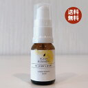 【送料無料】ジェモセラピー 国産 セントジョンズワート スプレー 10ml 憂鬱 サンシャインハーブ レスキュー オーガニック 自律神経 セロトニン リラックス 安眠 ポジティブ イライラ サプリメント ハーブ フィト エルビオリス レメディ ホメオパシー 和ジェモ チンキ 幹細胞