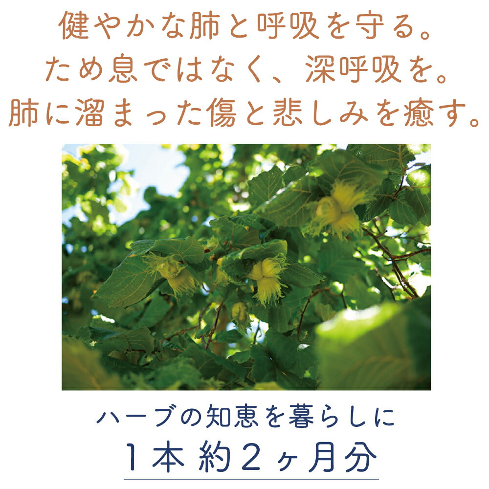 ジェモセラピー セイヨウハシバミ 肺呼吸 風邪のあともう一息をスッキリ 無農薬 無添加 植物療法士監修 自然食品 コホコホ リラックス 深呼吸 喉 潤い ストレス ハーブ 天然 サプリ ペット お子様 オーガニック エルビオリス フィト 50ml