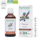 タマリクスガリカ 50ml 貧血持ちのお守りハーブ めまいや立ちくらみ フラつきが気になる方に グラウンディング オーガニック 天然 サプリメント 無添加 ジェ...